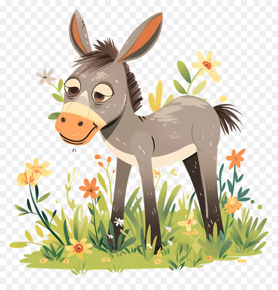 Burro，Campo PNG