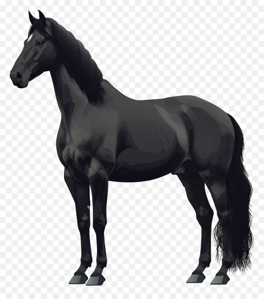 Caballo Negro，Equino PNG