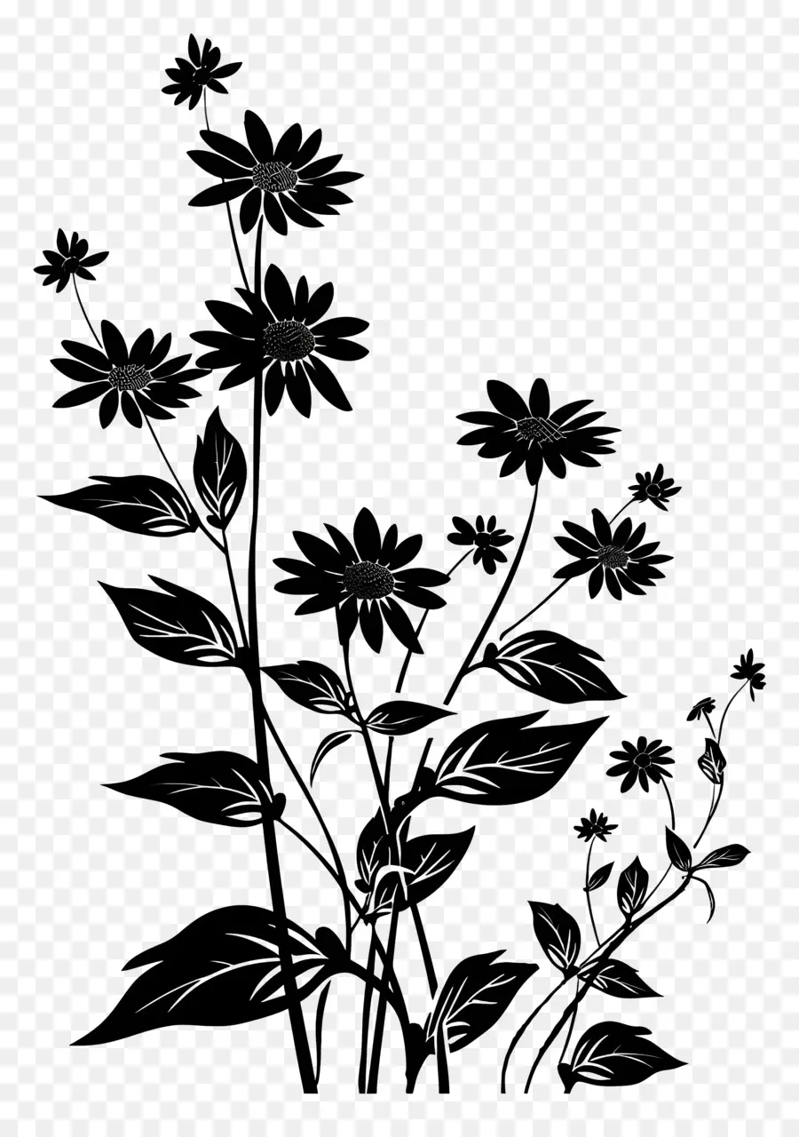 Las Flores De La Silueta，Fotografía En Blanco Y Negro PNG