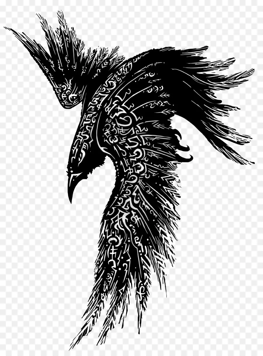 Logotipo De Ravens，Tigre PNG