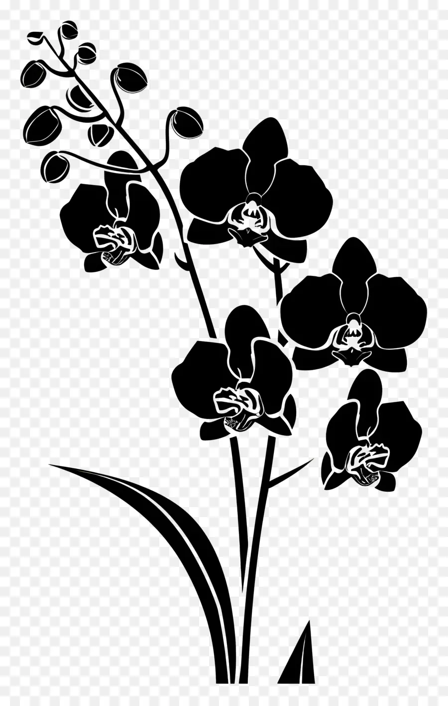 Las Flores De La Silueta，Cuarto Oscuro PNG