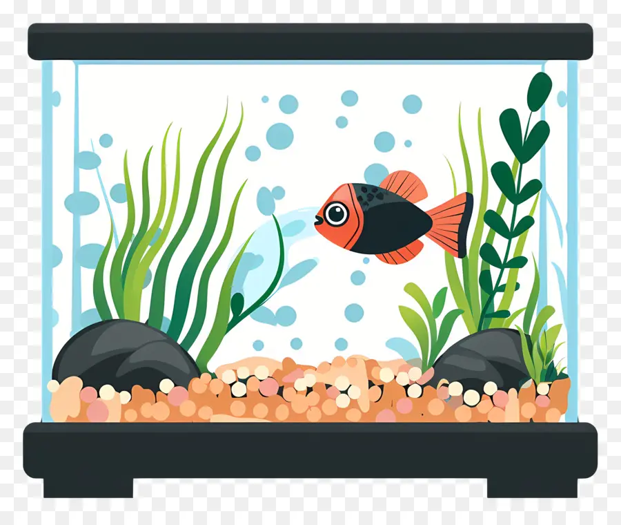 Tanque De Peces，Los Peces Pequeños PNG