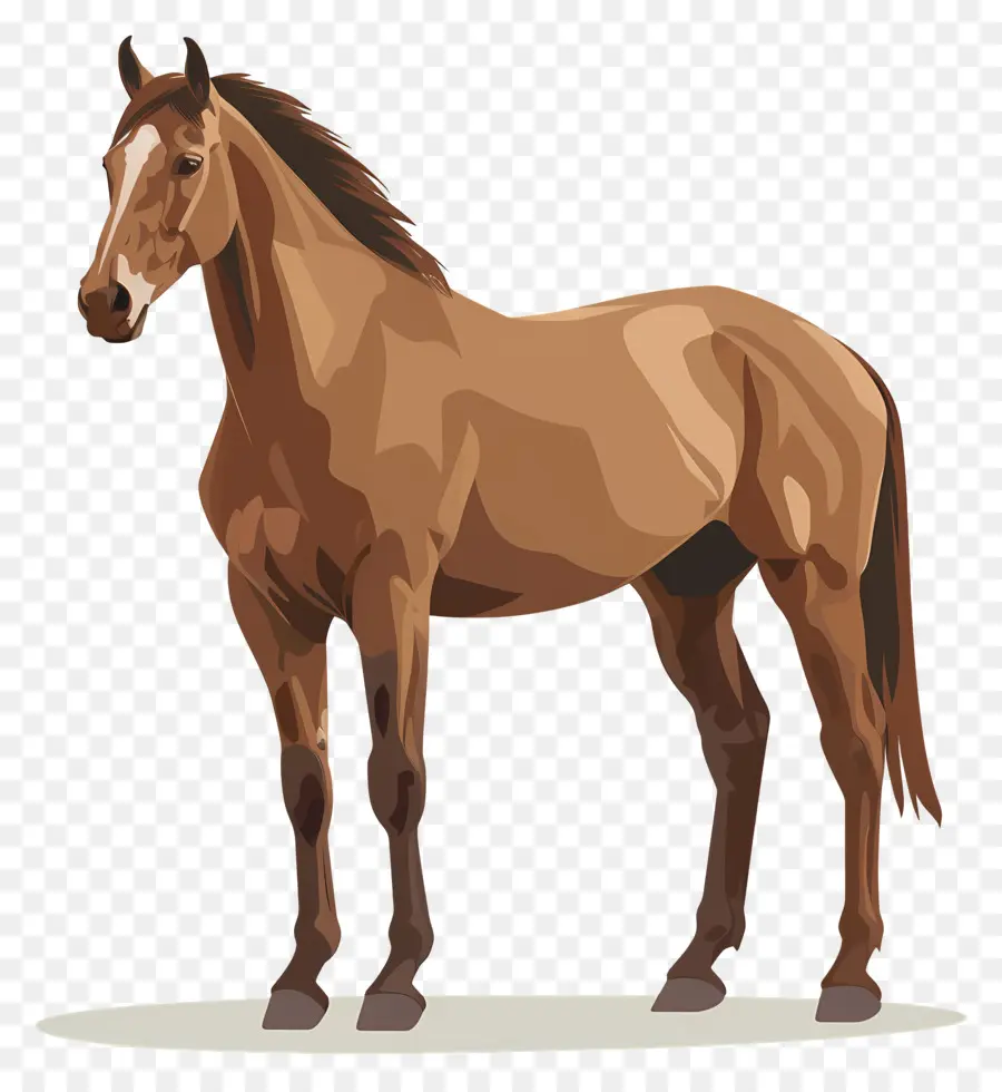 Caballo Marrón，Caballo PNG