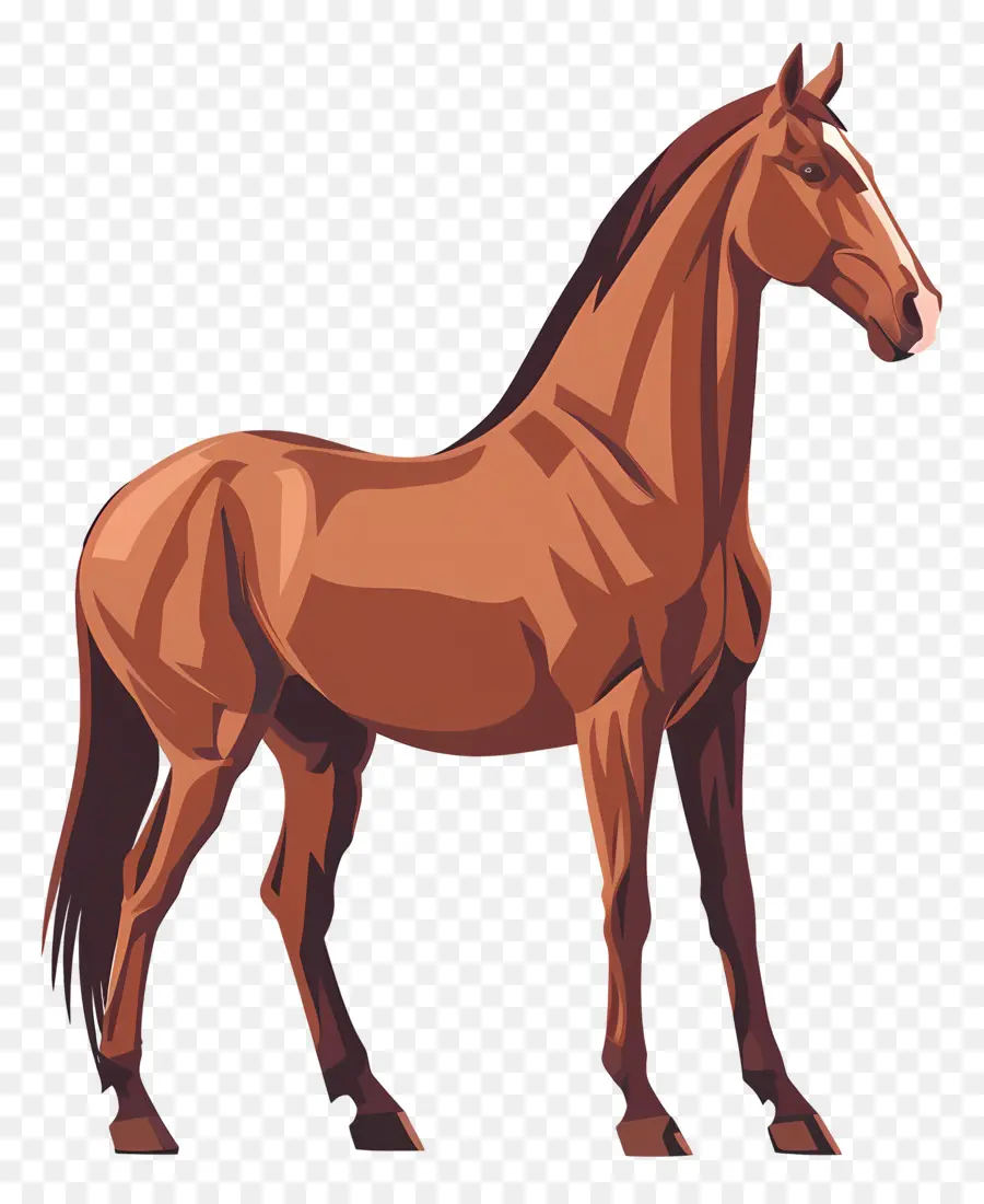 Caballo Marrón，Melena Larga PNG