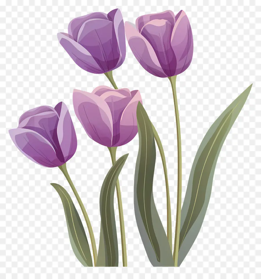 Los Tulipanes Púrpura，Florero PNG