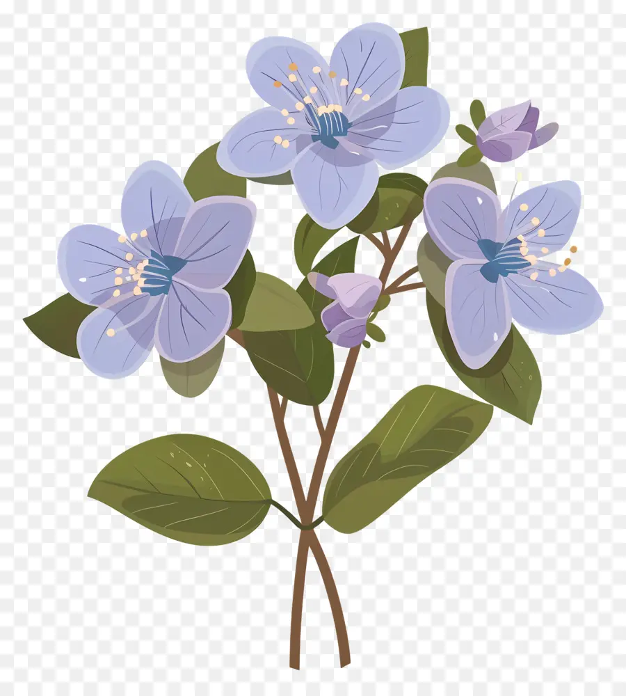 Flor De Estado De Alaska，Flor Azul PNG