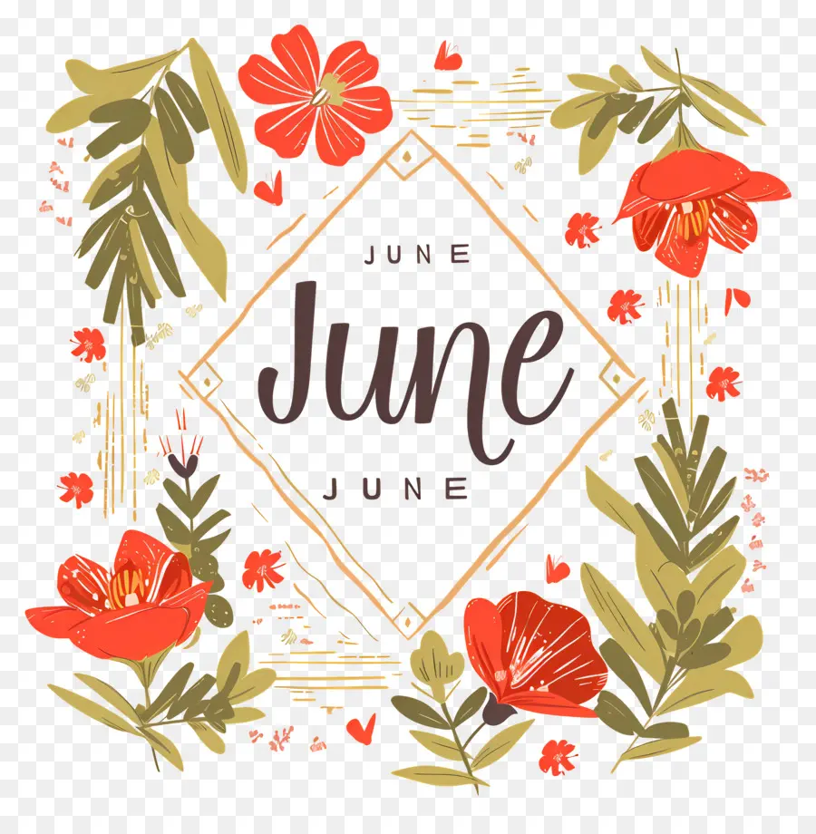 Hola Junio，Marco Floral De Junio PNG