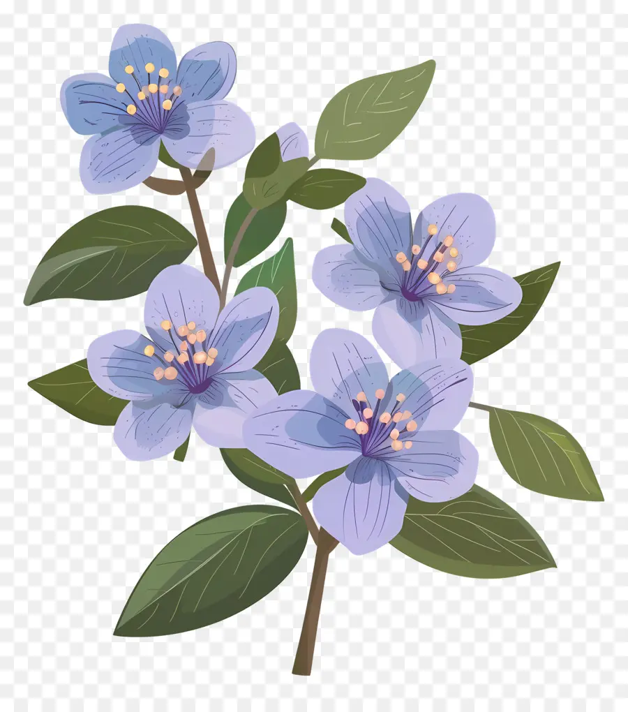 Flor De Estado De Alaska，Flores De Color Azul PNG