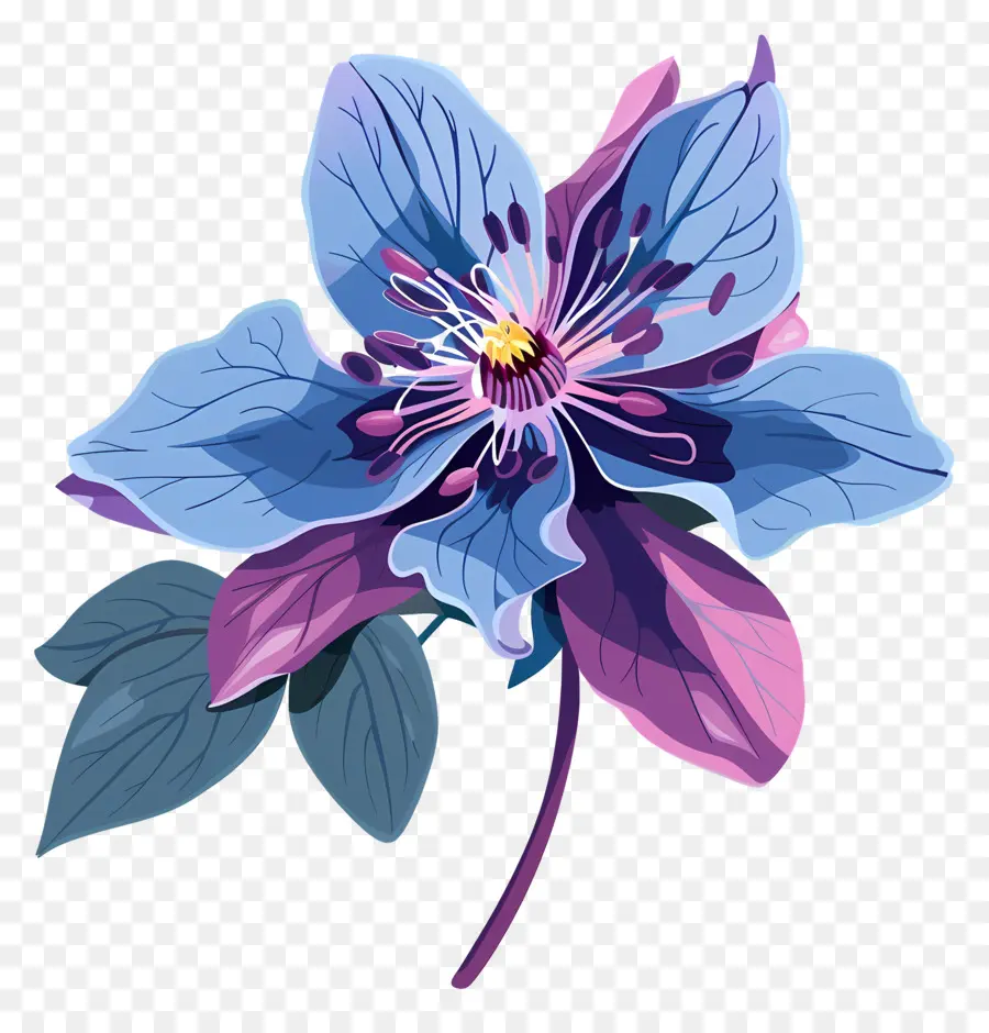 Flor De Estado De Alaska，Flor Azul PNG