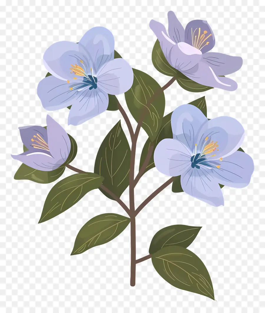 Flor De Estado De Alaska，Flores De Color Azul PNG