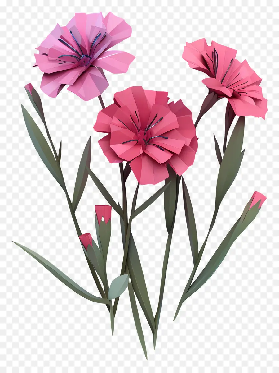 Dianthus Flor，Flores De Color Rosa PNG