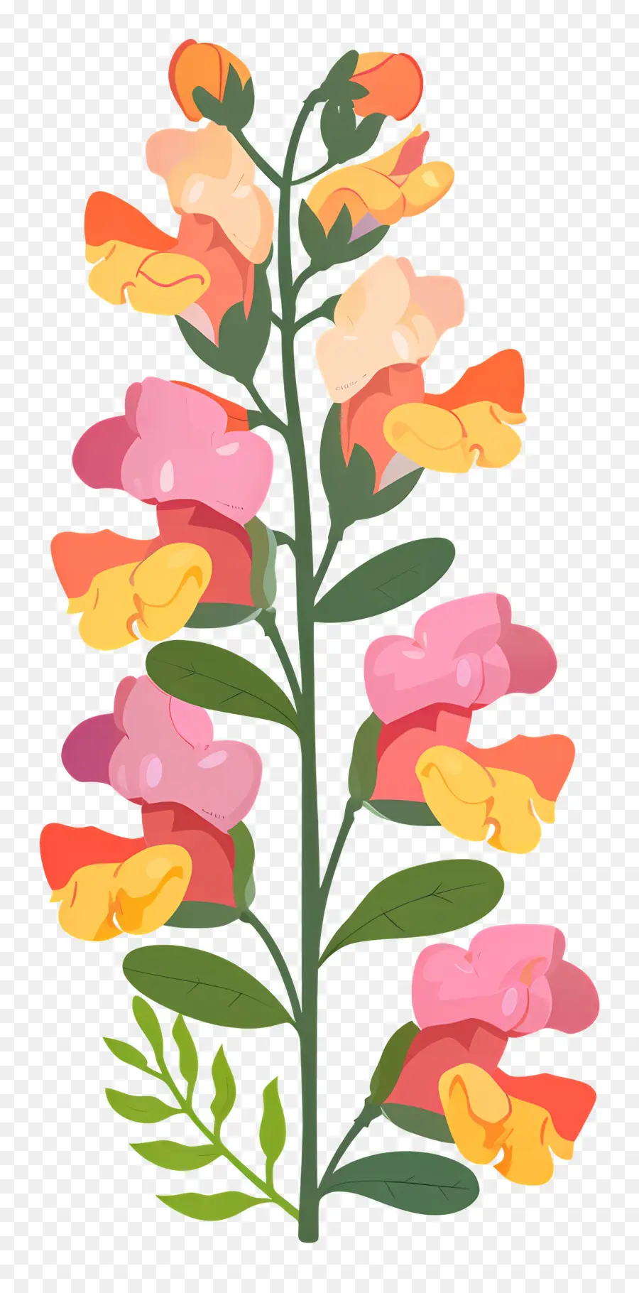 Snapdragon Flor，Flor PNG