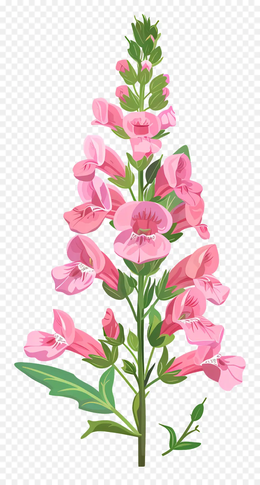 Snapdragon Flor，Flor Rosa PNG