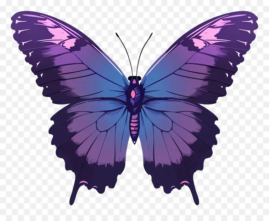 La Silueta De La Mariposa，La Mariposa Púrpura PNG