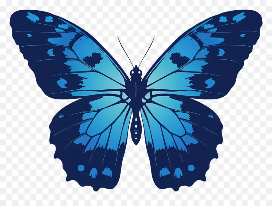 La Silueta De La Mariposa，Mariposa Azul PNG
