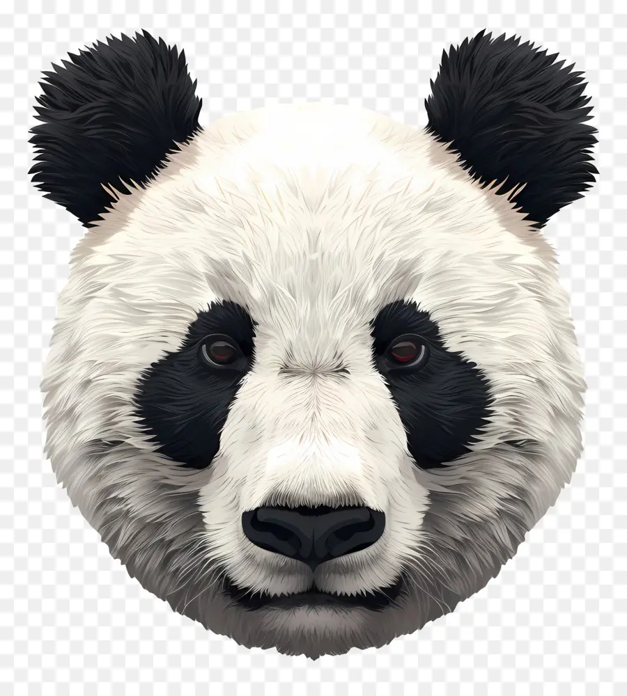 Icono，Cara De Panda PNG