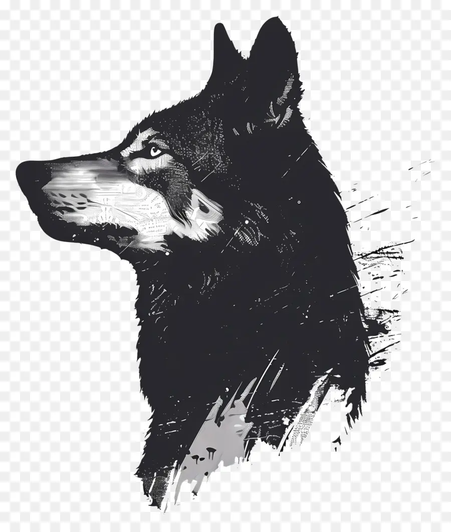 Lobo Silueta，Lobo PNG