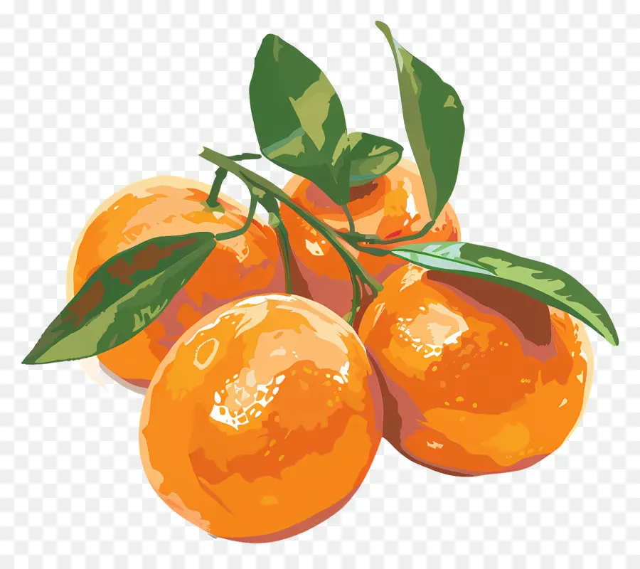 Clementinas，Las Naranjas PNG