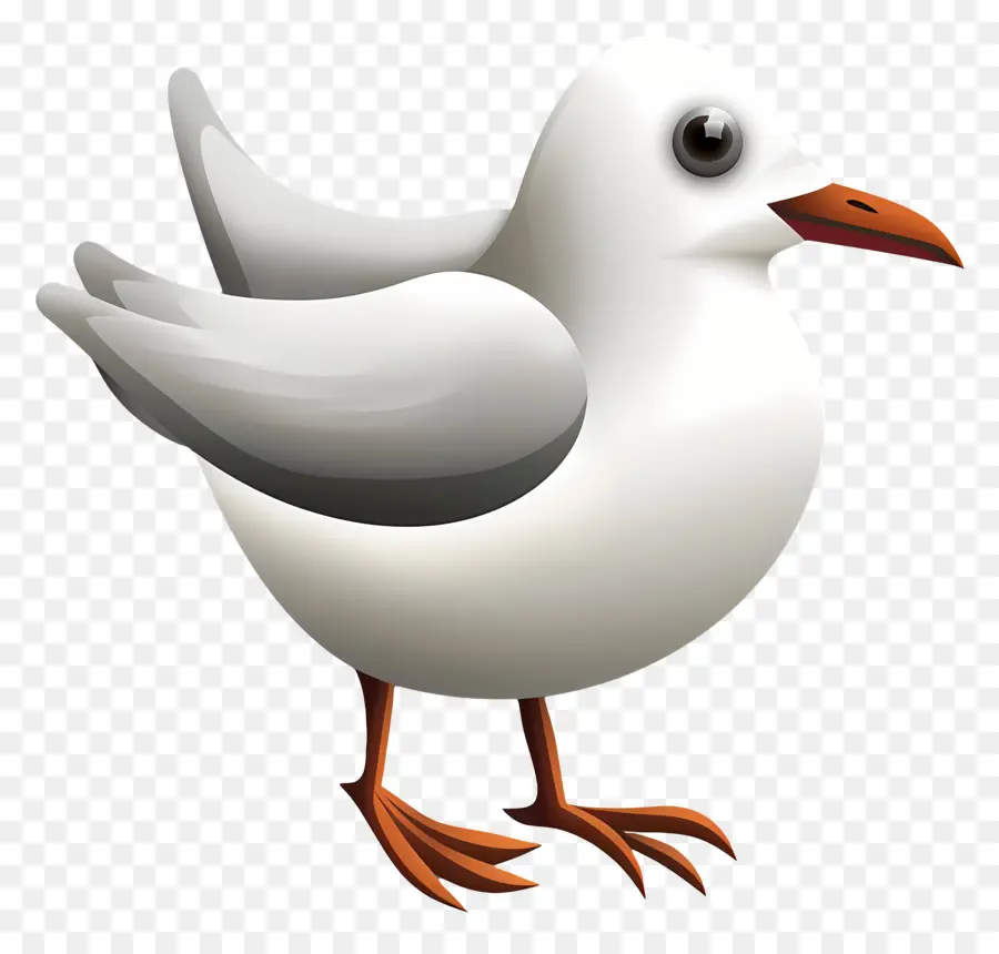 Gaviota，Aves PNG