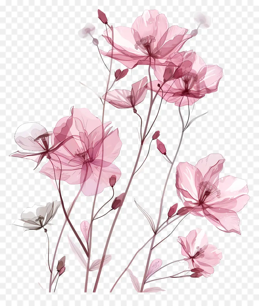 Flores De Color Rosa，Florero PNG