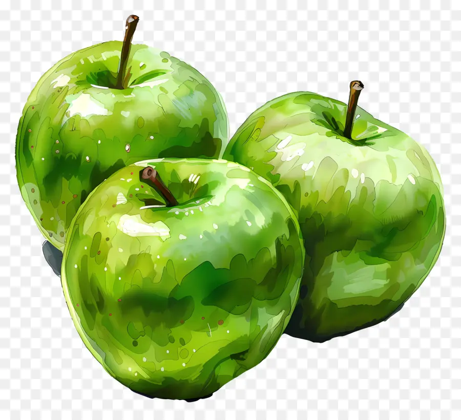 Granny Smith Manzanas，Manzanas Verdes PNG