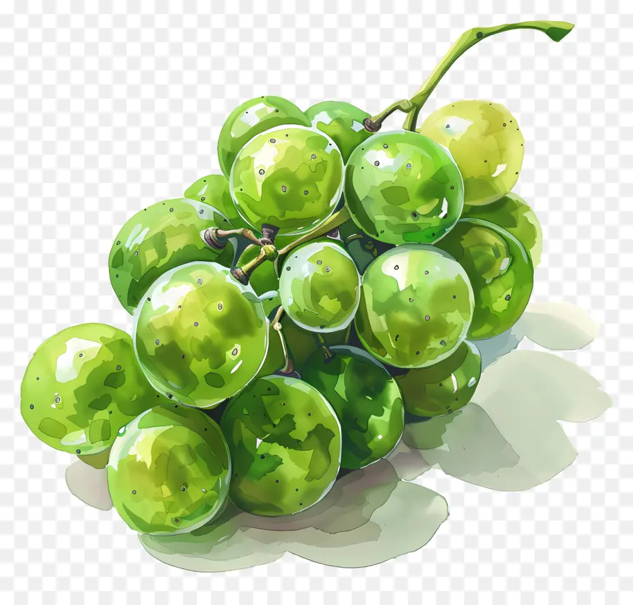 Uvas Verdes，Racimo PNG