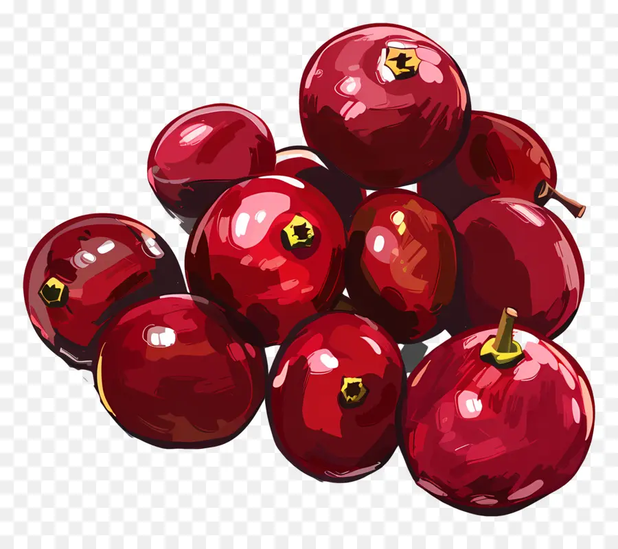 Cranberries，Bayas Rojas PNG