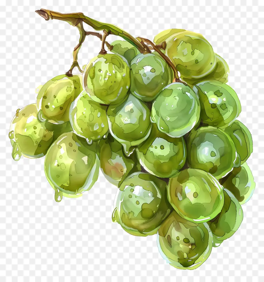 Uvas Verdes，Racimo PNG