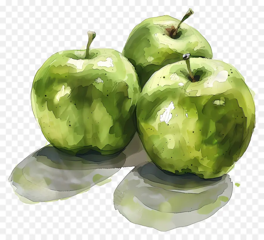 Granny Smith Manzanas，Manzanas Verdes PNG