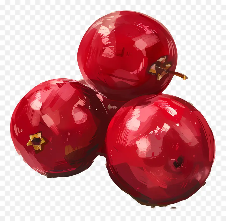 Cranberries，Las Uvas Rojas PNG