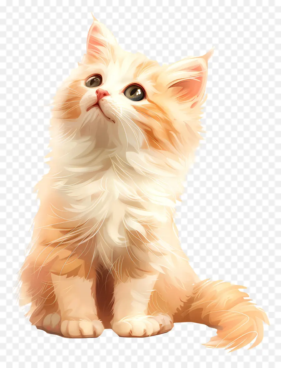 Gato Blanco，Gatito PNG