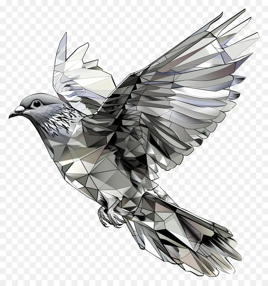 Paloma，Aves PNG