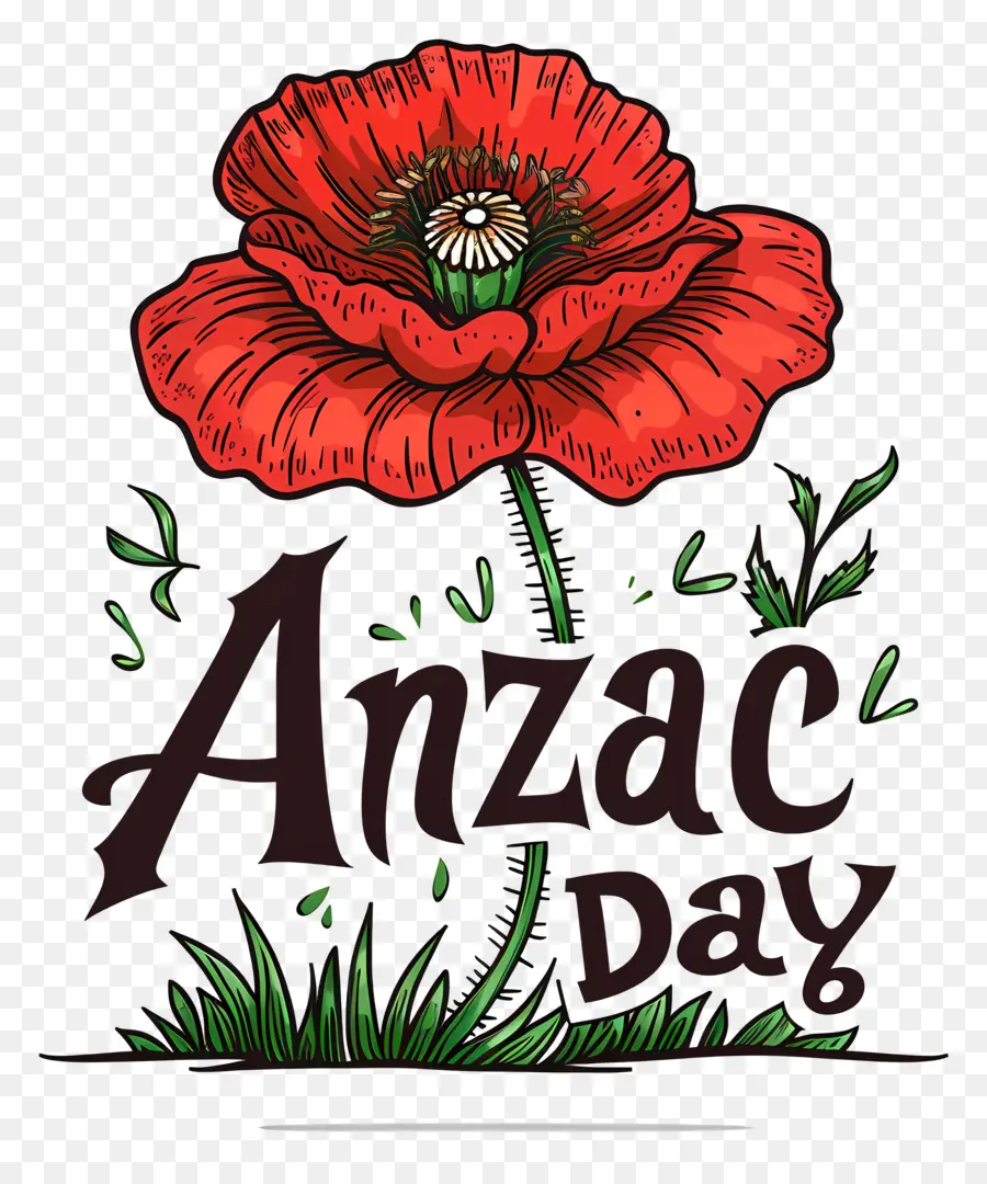 Día De Anzac，Amapola Roja PNG