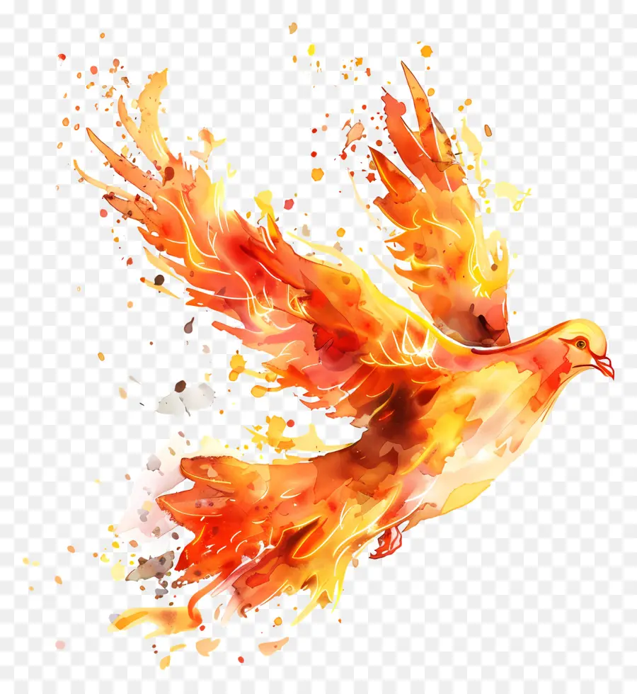 Pentecostés，Pájaro Rojo PNG