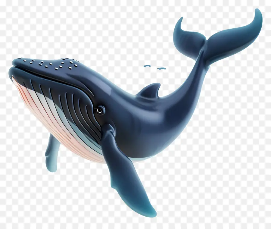 Ballena，La Aleta Dorsal PNG