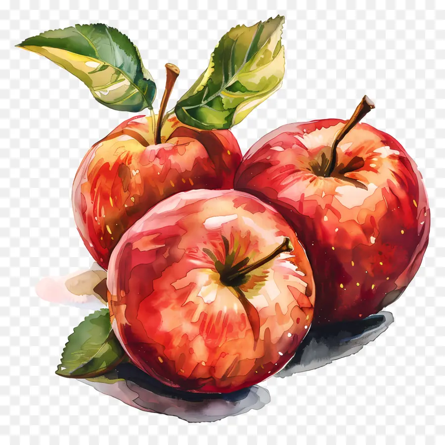 Manzanas De La Gala，Las Manzanas Rojas PNG