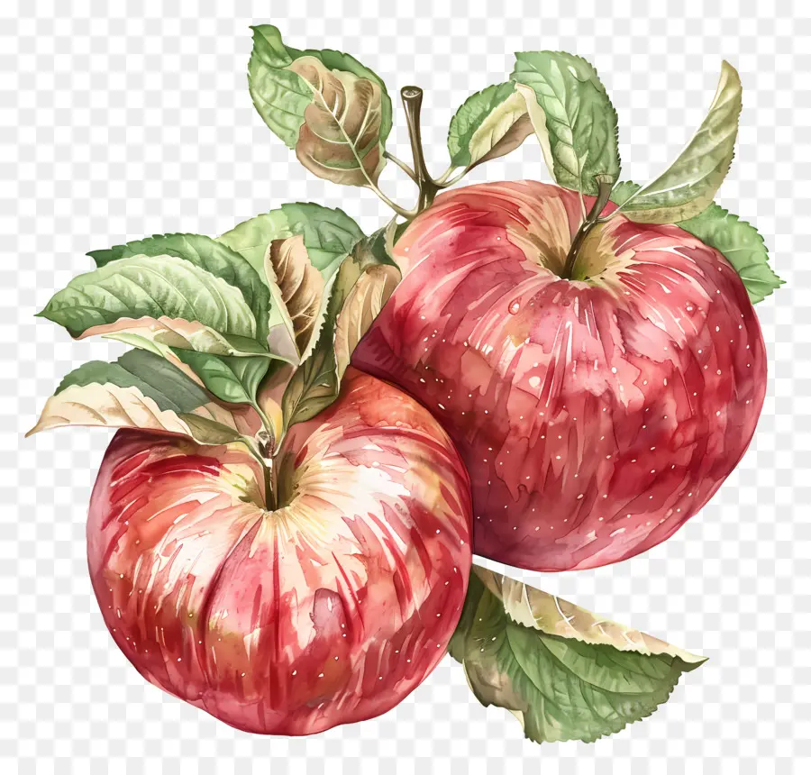 Manzanas De La Gala，Las Manzanas Rojas PNG