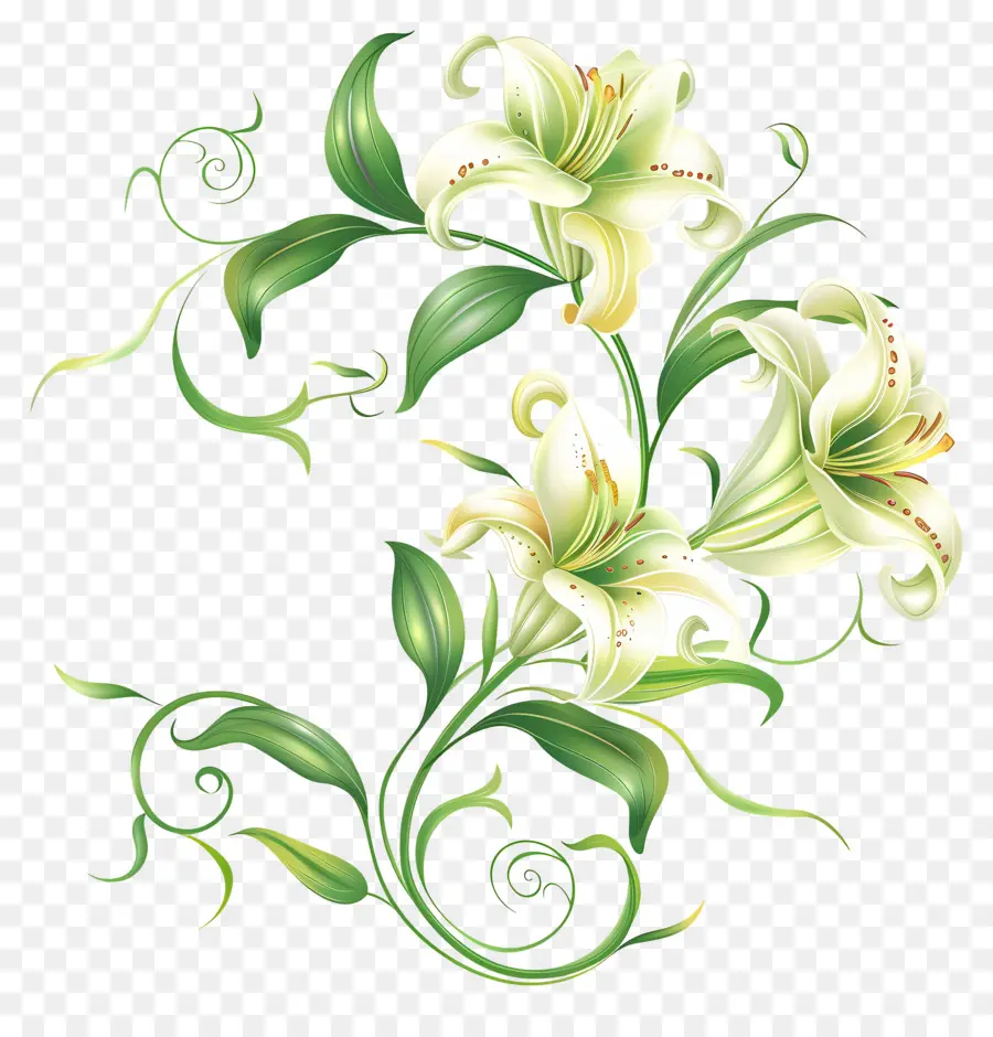 Lily，Lily Ramo PNG