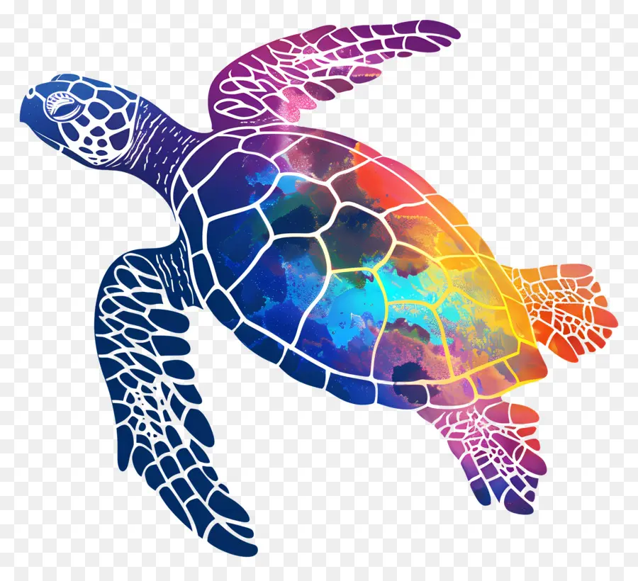 Tortuga Silueta，Tortuga PNG