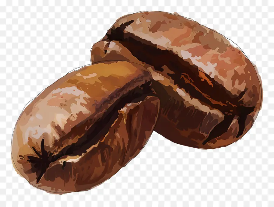 Los Granos De Café，Semillas PNG