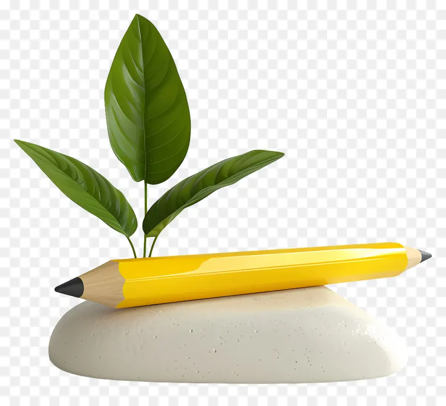 Lápiz Amarillo，Planta PNG