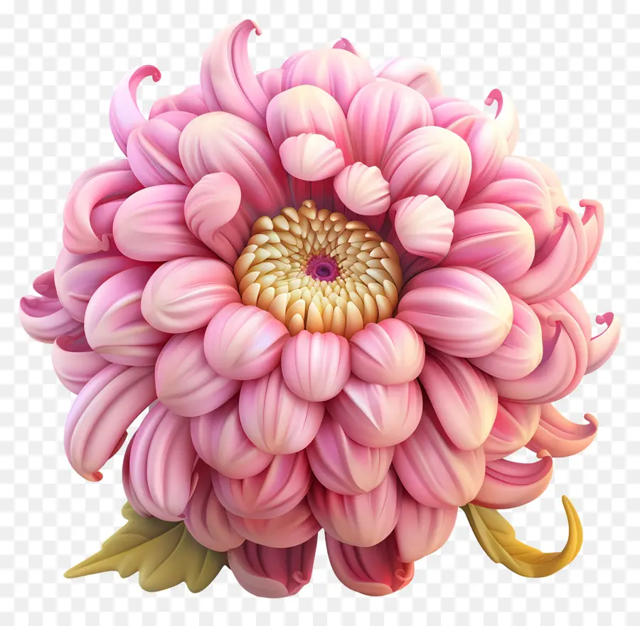 Flores De Dibujos Animados 3d，Rosa Crisantemo PNG