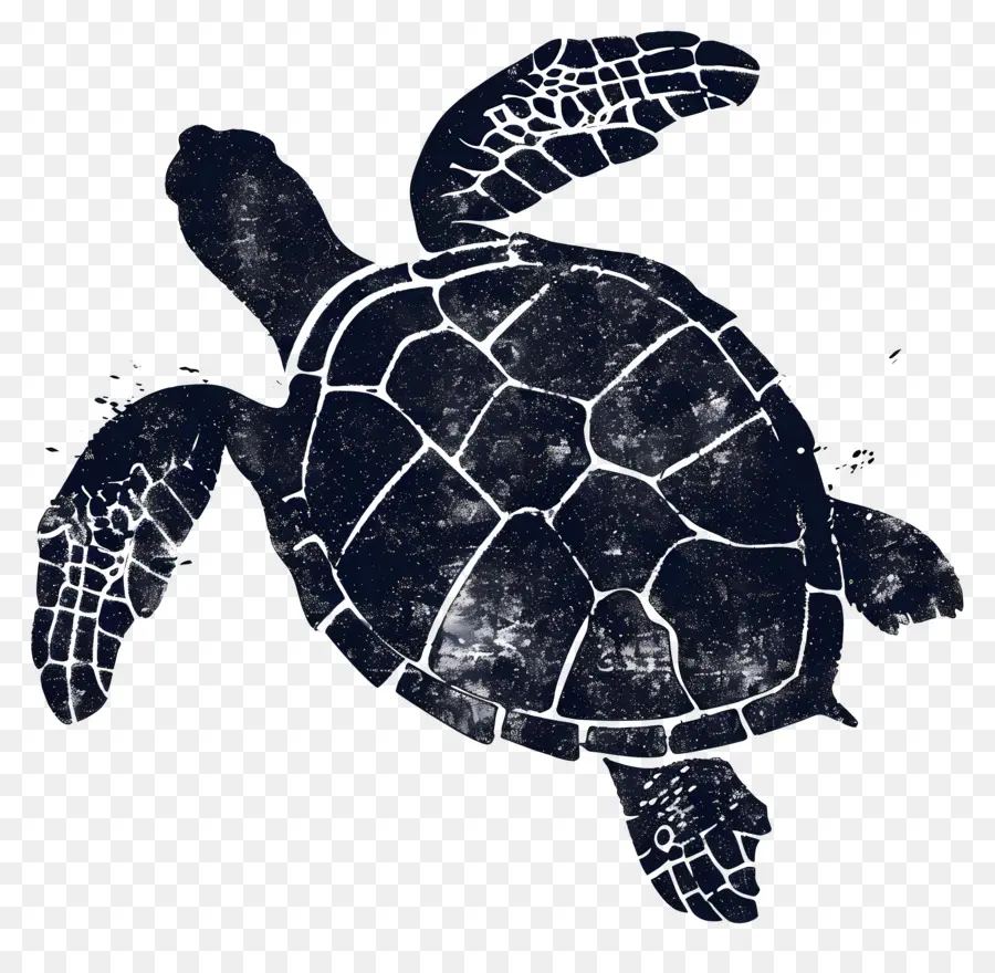 Silueta De Tortuga，Tortuga PNG