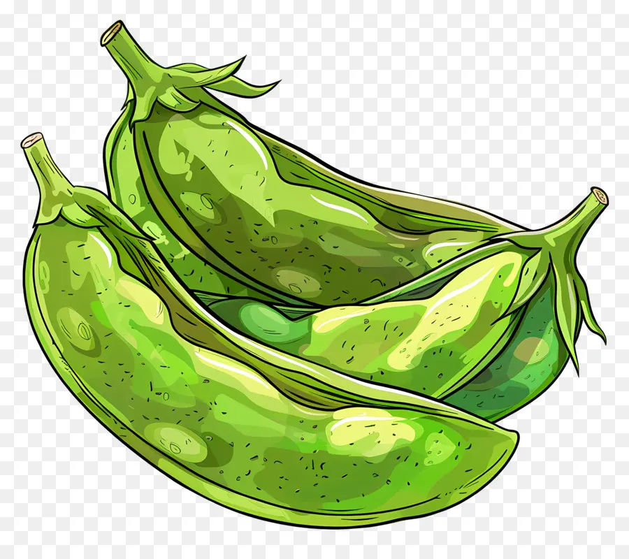 Habas，Chiles Verdes PNG