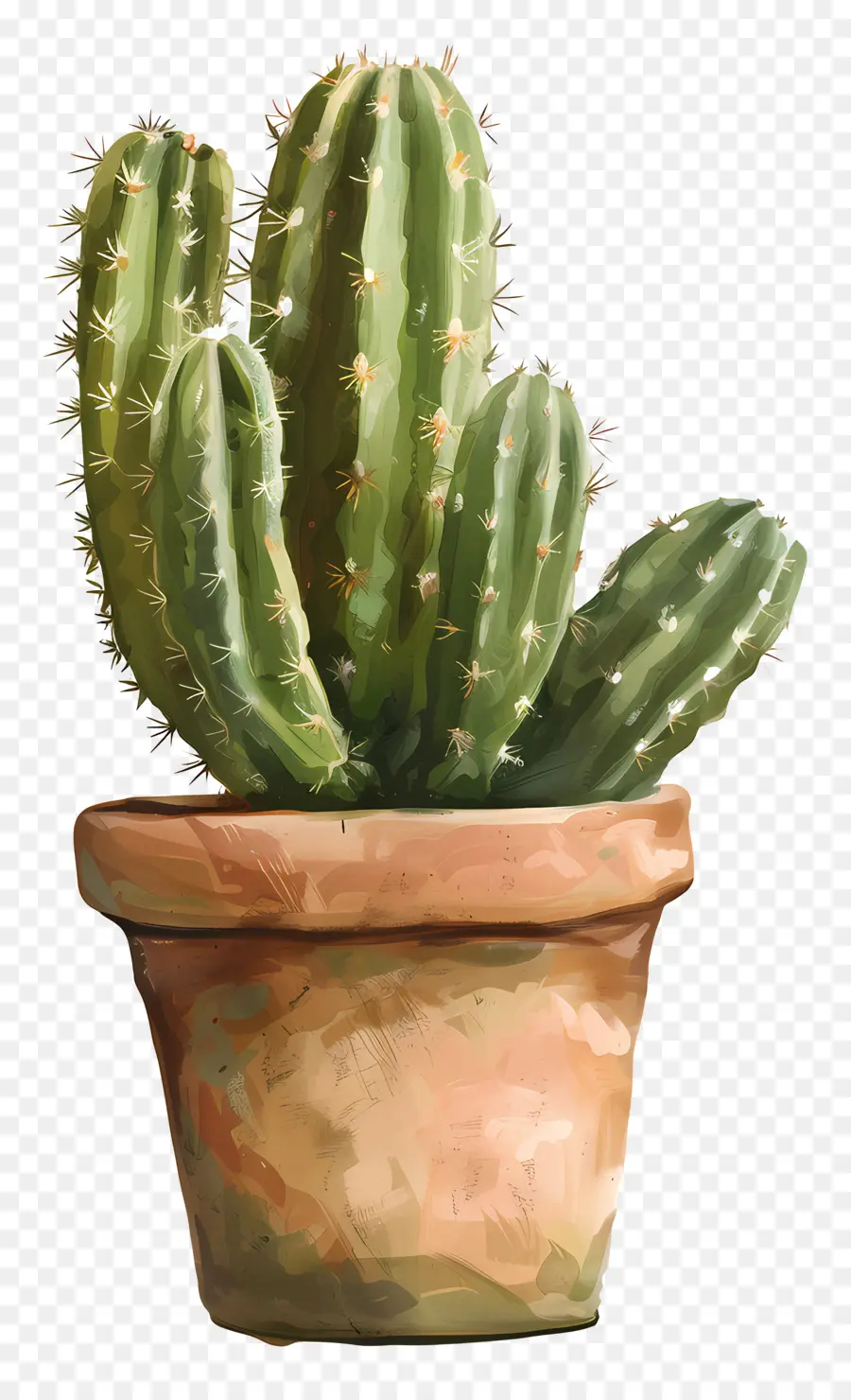 Cactus，Planta En Maceta PNG