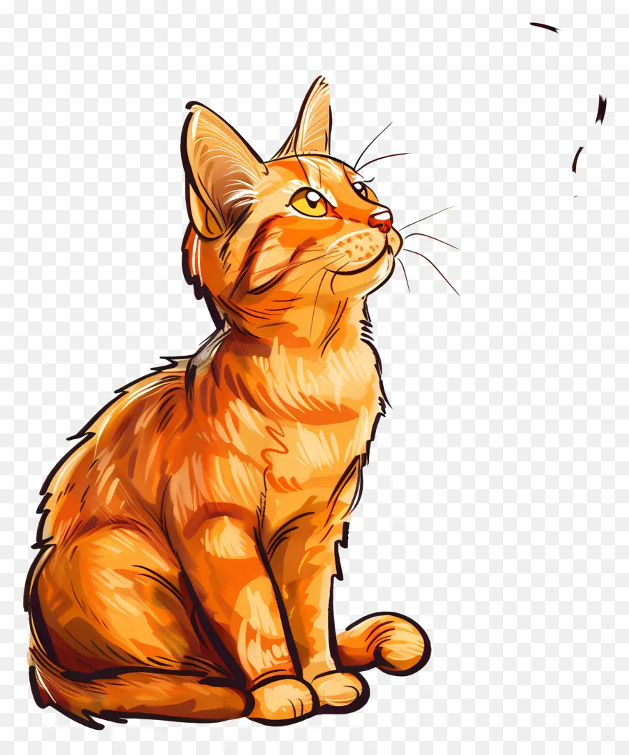 Lindo Gato，Rojo Tabby Cat PNG