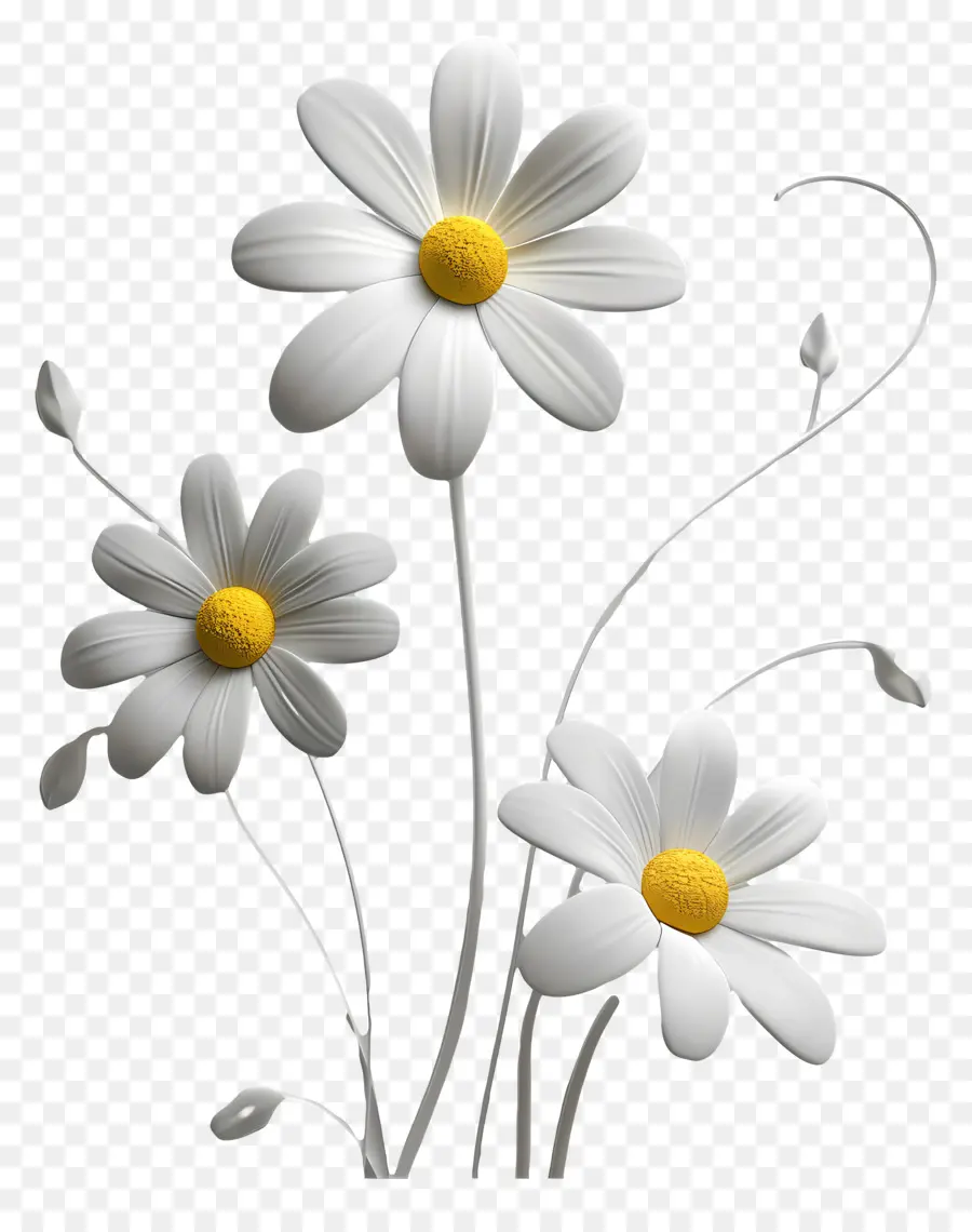 Las Margaritas，Daisy Flores PNG