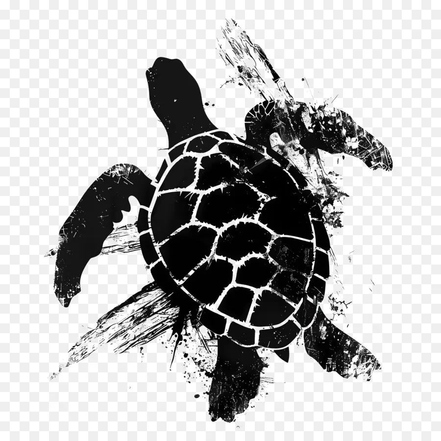 Silueta De Tortuga，Tortuga PNG