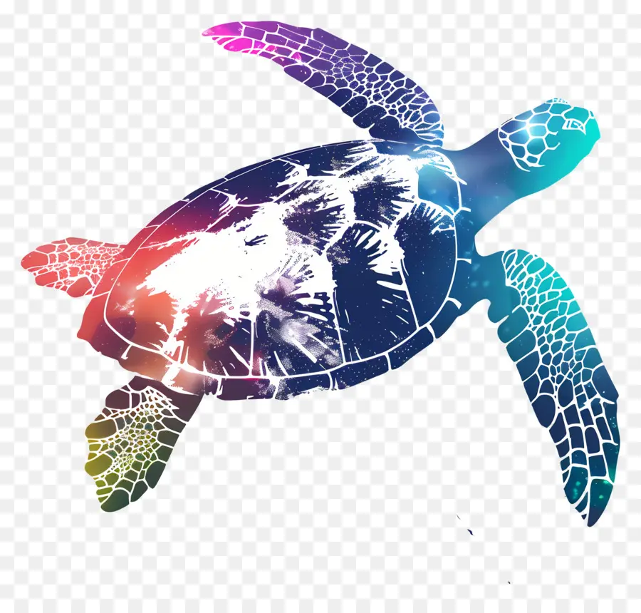 Tortuga Silueta，Tortuga PNG