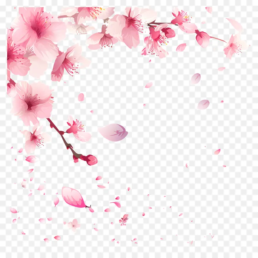 Blossom De Primavera Sakura，Sakura PNG